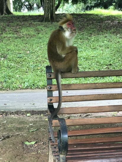 Ich weiß nicht, was er zu sich genommen hat �