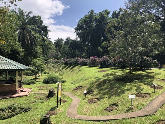 Botanischen Garten die Zweite.