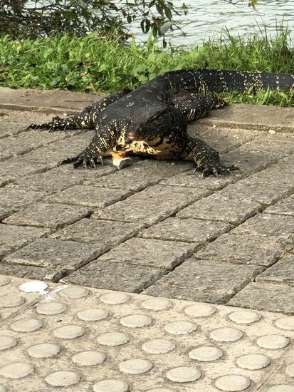 Er wollte mal gucken �