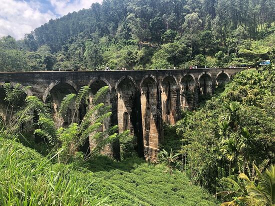 So sieht sie aus ����