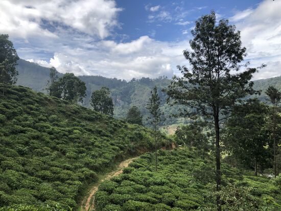 Was für die Augen �