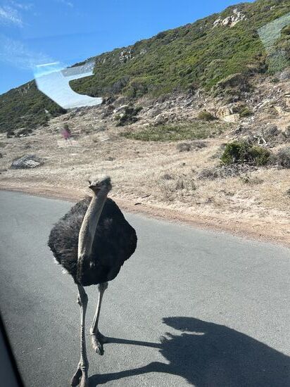 Er wollte mal“Hallo „ sagen �