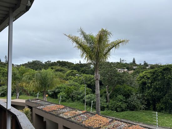 Ein schöner Blick vom Balkon.