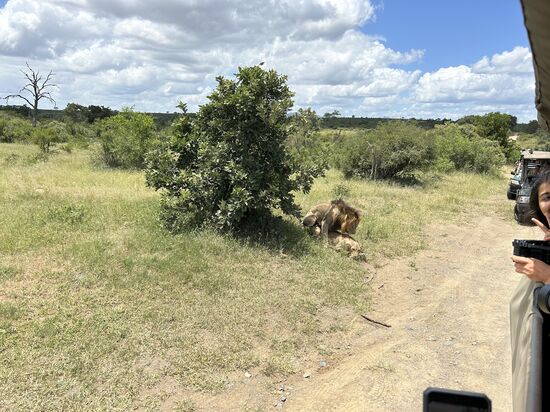 Ich weiß auch nicht, was die Beiden sich dabei denken!!!