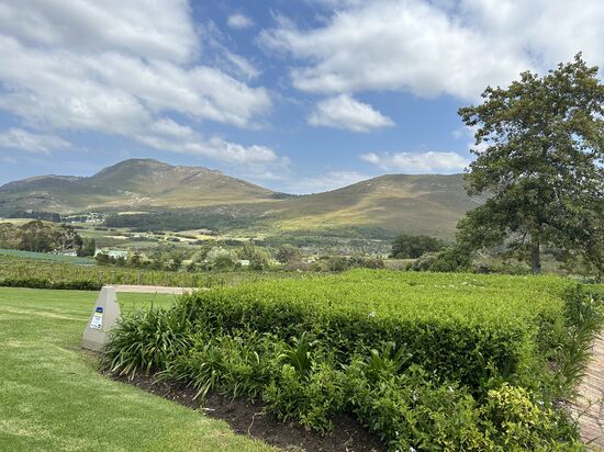 Ich bin begeistert �