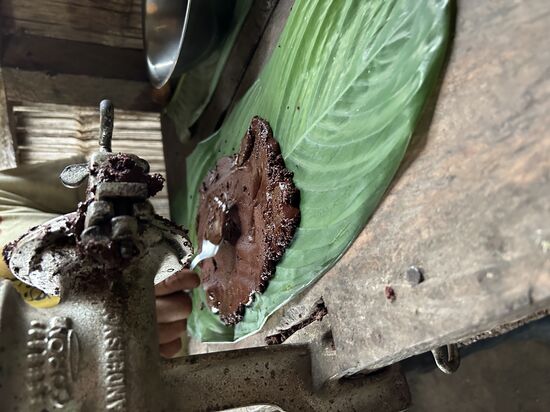 Der Geschmack von dieser Schokolade ist so intensiv, unglaublich �