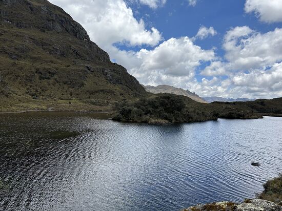 Fische hab ich aber nicht gesehen.