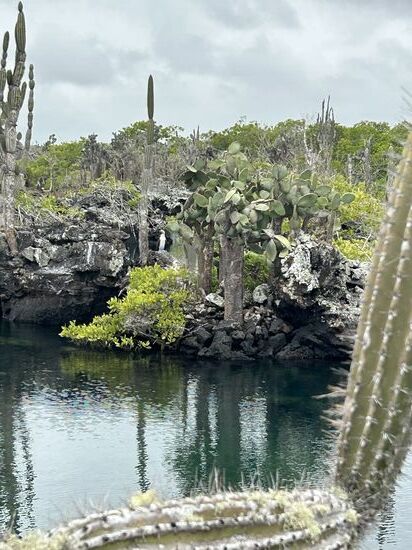 Die Landschaft ist ein Traum!!!!