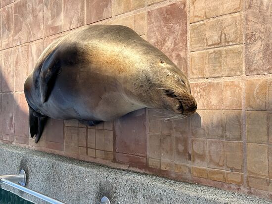 Die schnarchen sogar �