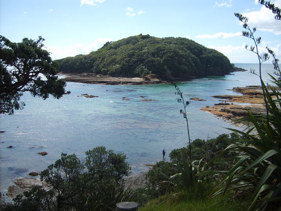 Schnorchelparadies Goat Island