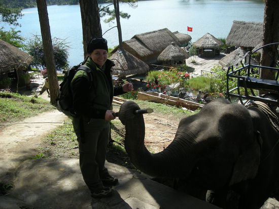 Zuckerrohr gab es zum Naschen am Nachmittag