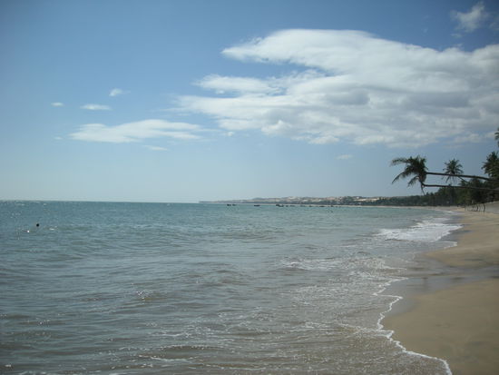 Der schwarze Punkt linke Seite ist Alex frisch rasierte Glatze