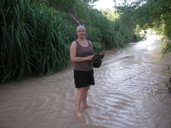 Ein traumhafter Spazierweg: Der Fairy Stream