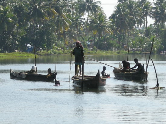 Backwaters - Kerala