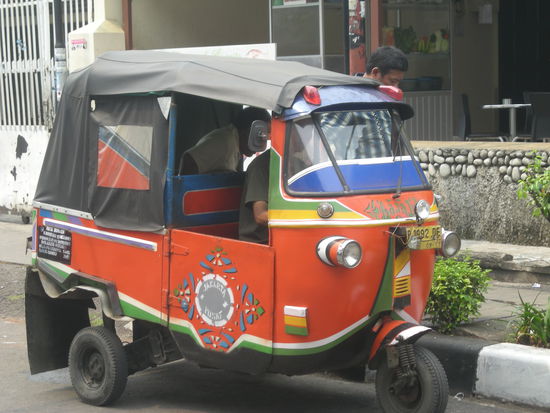 ein Bajaj
