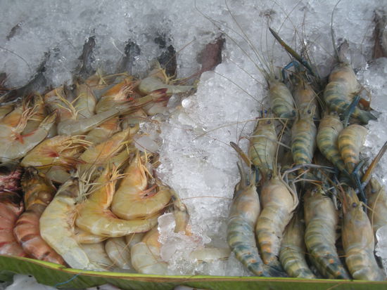 ob denen wohl auch so warm ist wie mir??