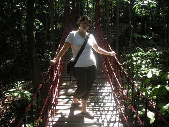 nature trail im Bukit Nanas Forest Reserve