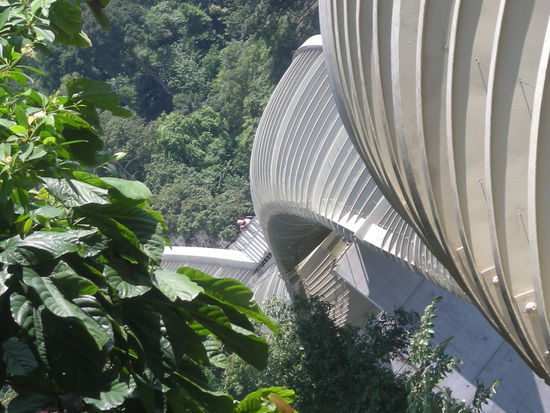Henderson Waves, in der Mitte steht Alex