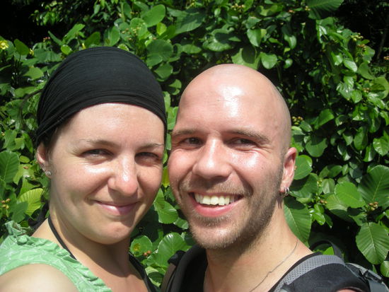 Regenwald in der Stadt