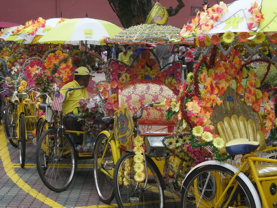 so schoen und aufwendig geschmueckt waren sie bis jetzt nur hier...