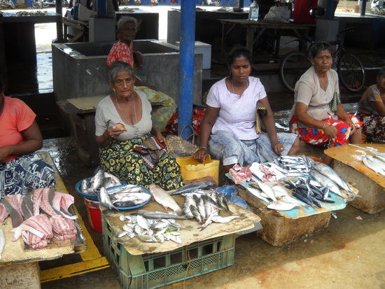 Fischmarkt in Negombo