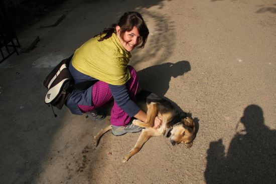 Hund freut sich und genießt es mal richtig durchgeknuddelt zu werden und entstaubt zu werden!