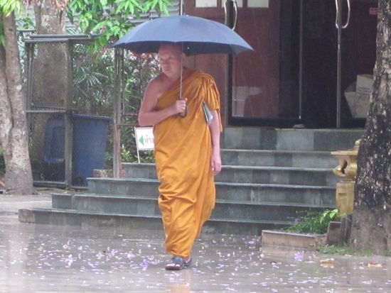 faierweise macht der Regen vor niemandem Halt...