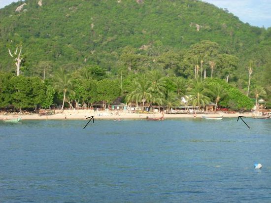 Und nochmal unser Strand, diesmal vom Boot aus
-linker Pfeil = unsere Bungalowanlage
rechter Pfeil = unser Tauchresort