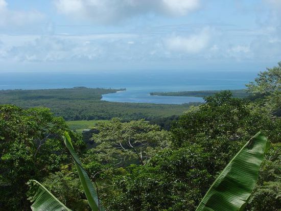 Cape Tribulation