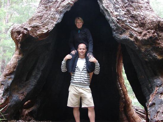 valley of the giants