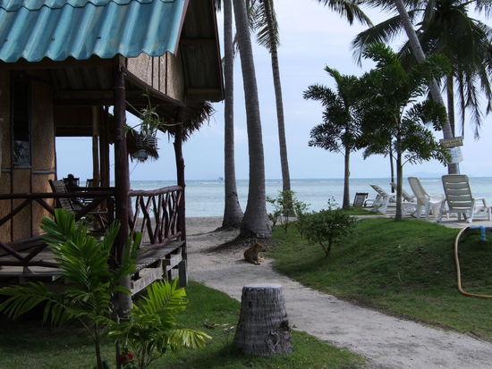 Nein, der Bungalow war mir zu teuer