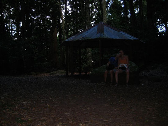 Ein Picknickplatz im Urwald