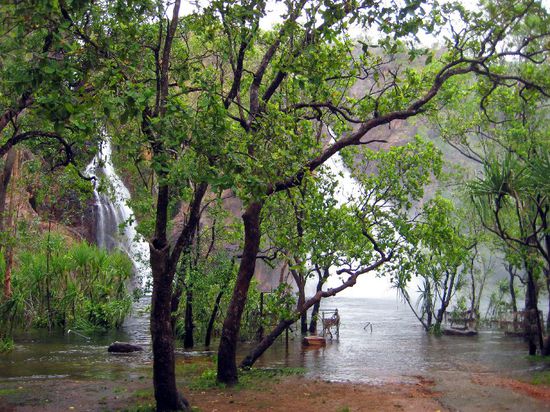 Die Badestelle am Wangi Falls ist in der Trockenzeit vermutlich sehr schön...