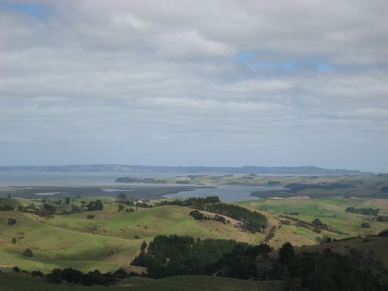 typische Landschaft der Nordinsel
