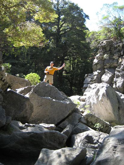 Schmidi am Harwoodshole