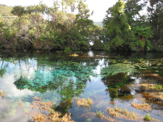 Pupu Springs - Takaka