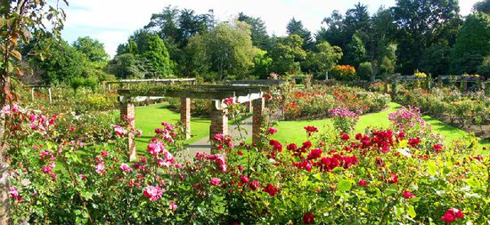 Der Rosengarten vom Queenspark in Invercargill