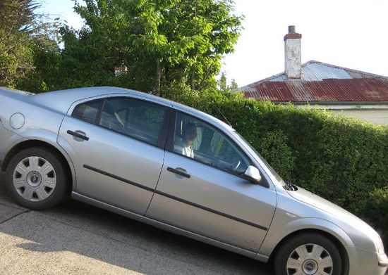 Baldwin Street, Dunedin - the world's steepest street