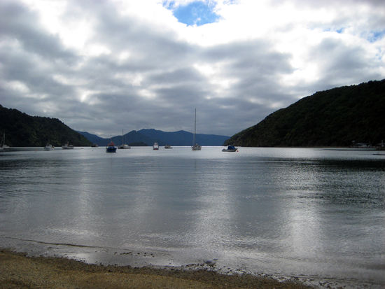 Aussicht aus dem Hafen von Picton