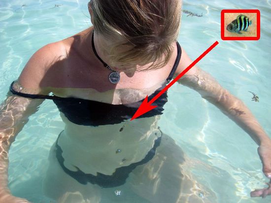 Ein sogenannter Busenfreund 