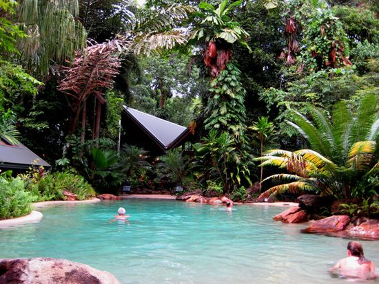 Ferntree Rainforest Lodge in Cape Tribulation