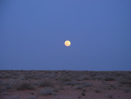 Der Mond über der Wüste