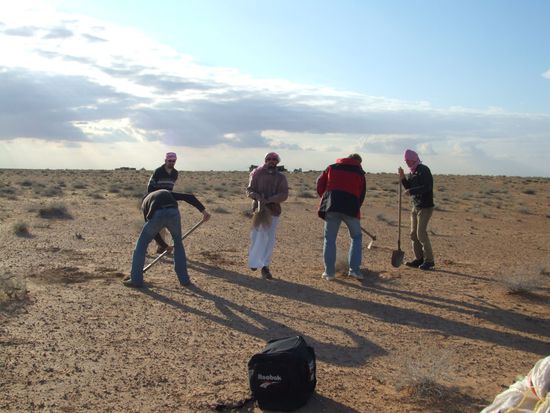 Große Steine und dicke Büsche müssen weg!