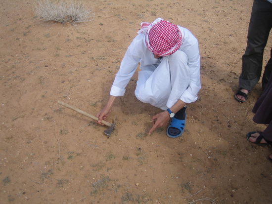 ... Und unterwegs Spuren lesen