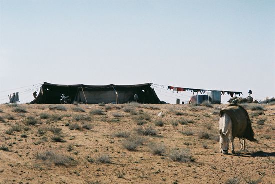 Unsere Nachbarn, die wir manchmal brauchen ...