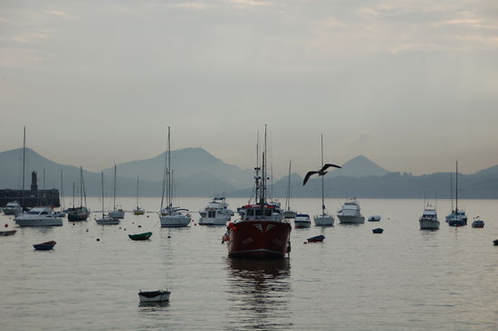 Grau in grau statt gruen in gruen - kantabrische Kueste nebelverhangen