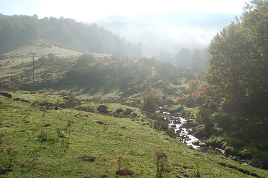 Als sich der Fruehdunst hebt...