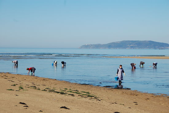 Muschel"ernte" vor der Skyline des Cabo Fisterre