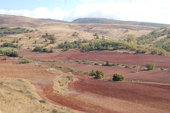 Symphonie in braun - in der Sierra Demanda