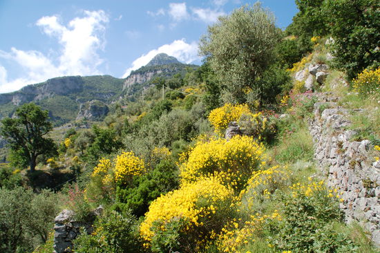 Unterwegs zum Convento Domenico